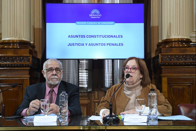 Alejandra Vigo y Juan Carlos Pagotto, senadores de Provincias Unidas y La Libertad Avanza Foto: Celeste Salguero /Comunicación Senado