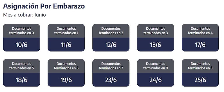 Cuándo cobro la AUE de ANSES en junio. (Captura: ANSES)
