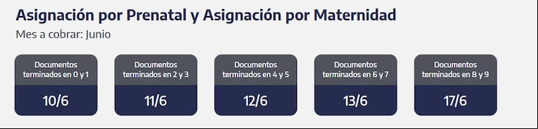 Cuándo se cobra la asignación por prenatal y maternidad. (Captura: ANSES)