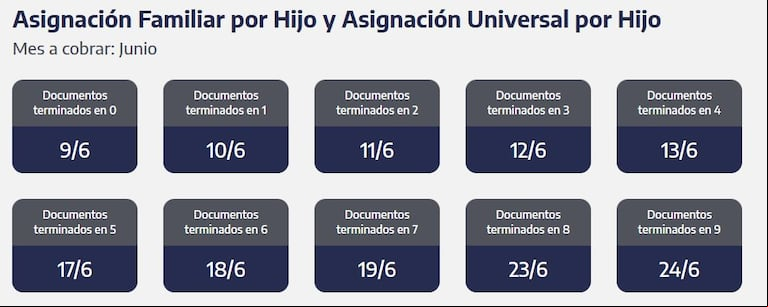 Cuándo se cobra la AUH y el SUAF en junio. (Foto: Captura ANSES)
