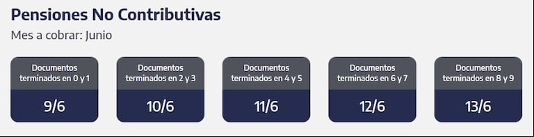 Cuándo se cobran las PNC de junio. (Captura: ANSES)