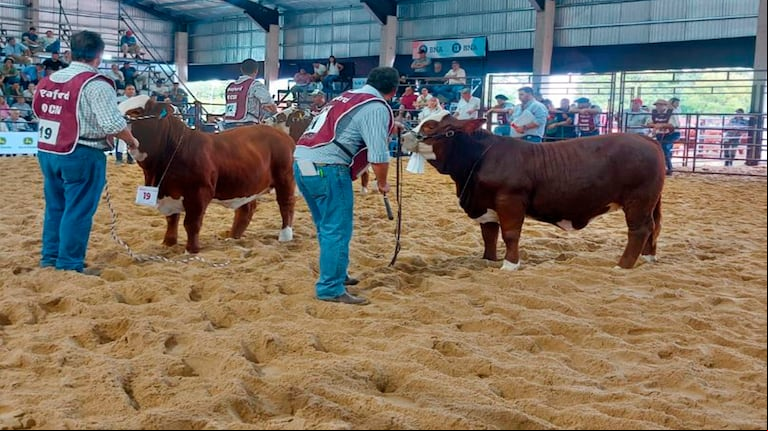 El presidente de Coninagro, Lucas Magnano, reclamó por una baja de la presión fiscal y de las retenciones que aún le quedan a la carne. (Foto: Coninagro) 