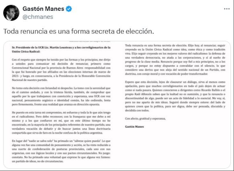 Gastón Manes renunció a la presidencia de la Convención Nacional de la UCR. (Foto: captura X @chmanes)
