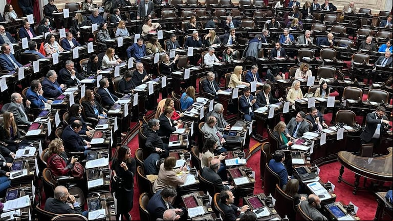 Insultos, gritos y una denuncia penal reavivan la interna entre el oficialismo y la oposición en Diputados. (Foto: prensa Diputados)