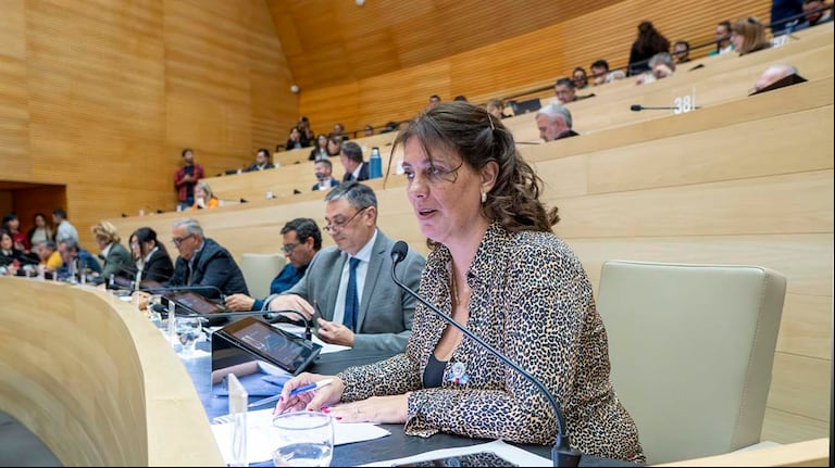 La Unicameral cordobesa alcanzó un consenso en la temática y manifestó su repudio sobre las intenciones del Gobierno nacional de modificar el INTA. 