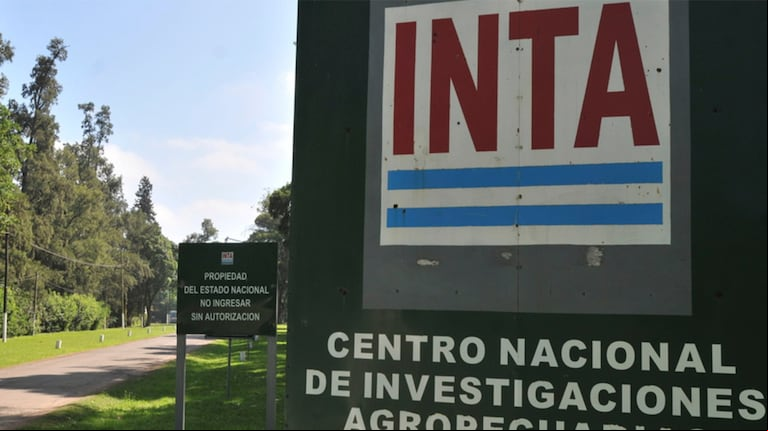 Las entidades del campo advierten sobre el debilitamiento del INTA, ya sea por desfinanciamiento o cambios en su estructura de gobernanza.