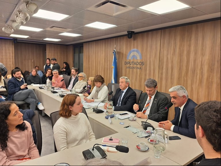 Los rectores de las universidades públicas con los diputados Blanca Osuna (UxP), Julio Cobos 8UCR9, entre otros. Foto prensa Democracia para Siempre